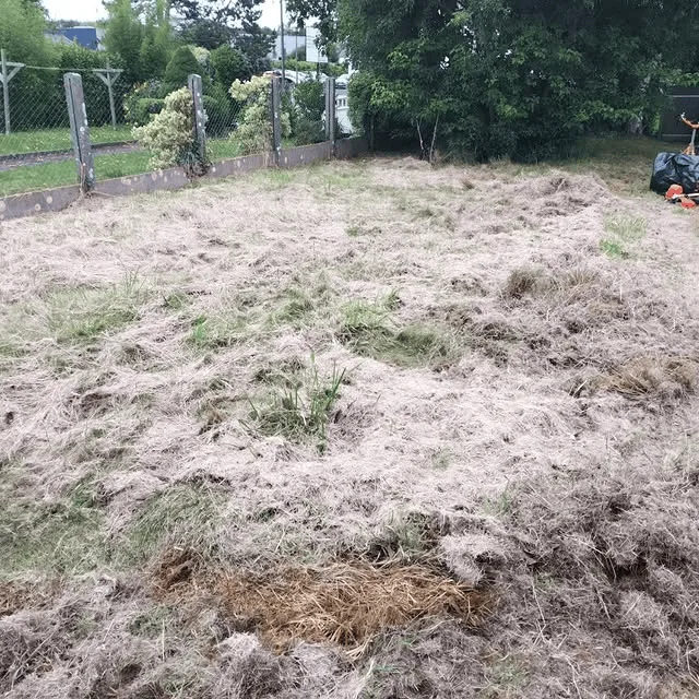 Évacuation des déchets verts