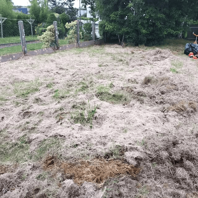 Évacuation des déchets verts par Gminvert