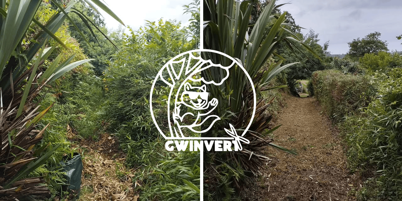 Transformation d'espace vert par Gminvert - avant et après