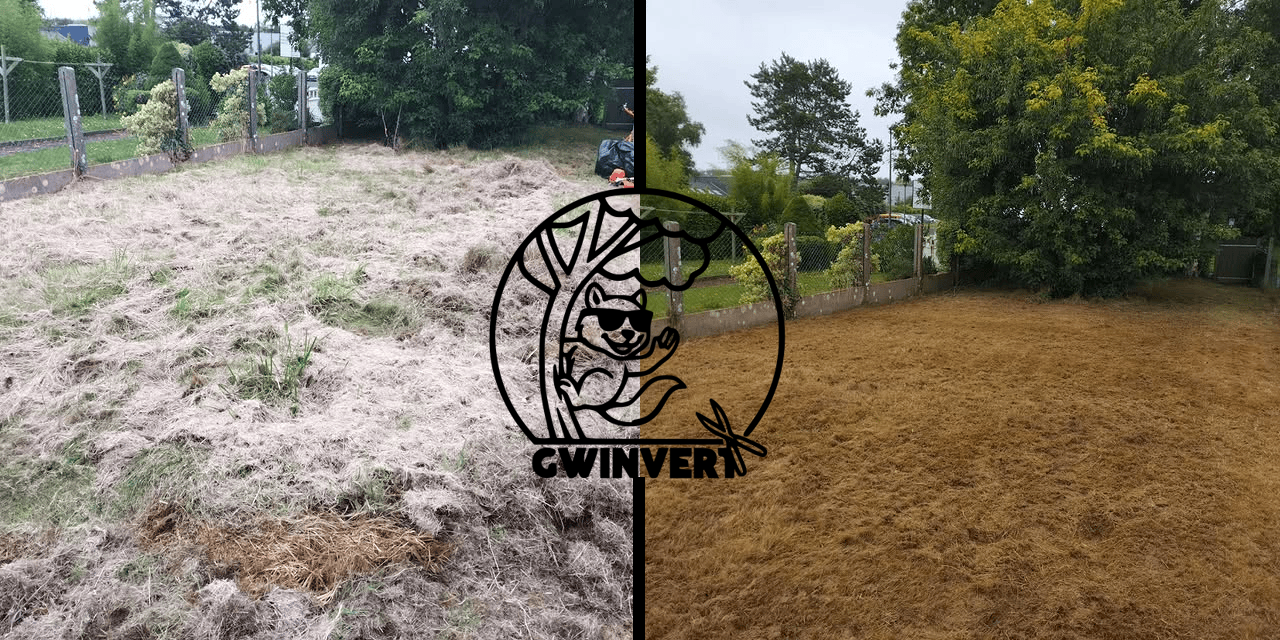 Nettoyage de jardin par Gminvert - avant et après